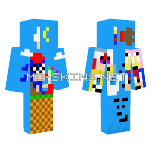 10 Sonic Facts Minecraft skin