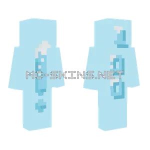 100 Followers Minecraft skin