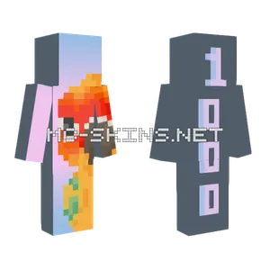 1000 Followers Minecraft skin
