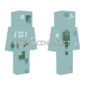 101 Followers D Minecraft skin