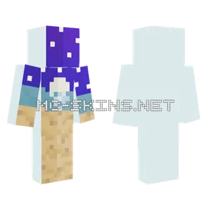 200 Followers Special Desc Minecraft skin
