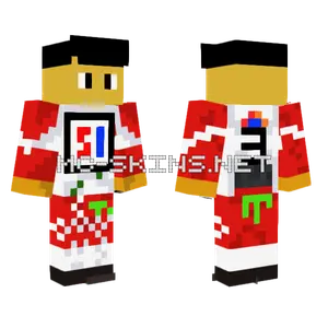 3 nr wts wyjazd2 Minecraft skin
