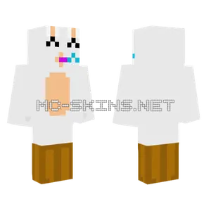 5 Followers Minecraft skin