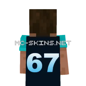 67 Ice cape, outside and lining