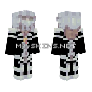 Adaptive Armor Skyblock Armor Minecraft skin
