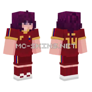 Ale Vinotinto Minecraft skin