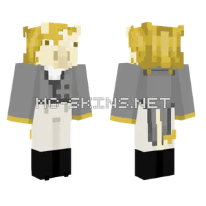 Algernon Whim Minecraft skin