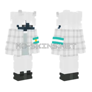 Asasasasa Minecraft skin