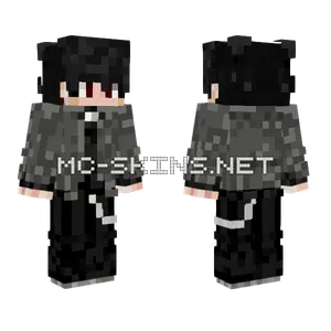 Ashelsis Minecraft skin
