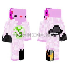 Axodragon With Turtle Minecraft skin