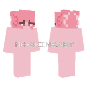 Axolotl Girl Ribbons Minecraft skin