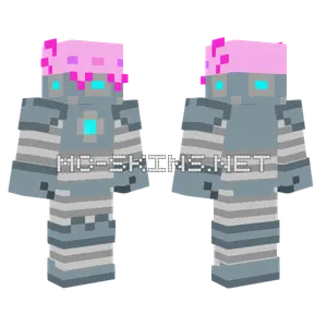 Axolotl In A Mech Minecraft skin