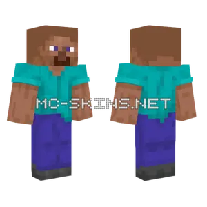 Bald Steve