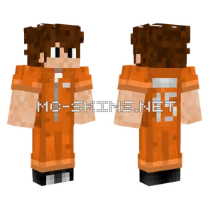 Baran Hapisane Minecraft skin
