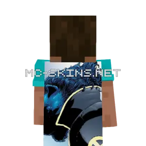Beast cape, outside and lining