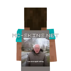 Bernie I Am Once Again Asking For Your Support cape, outside and lining