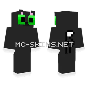 Black and White Cat Minecraft skin