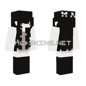Black and White Outfit Minecraft skin