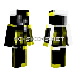Black and Yellow Bee