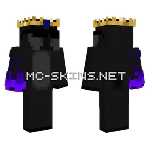 Black Panther 2 Minecraft skin