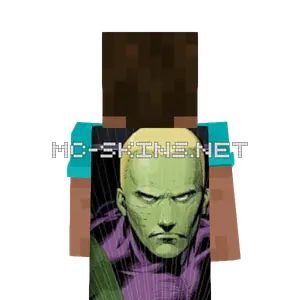 Brainiac 5 cape, outside and lining