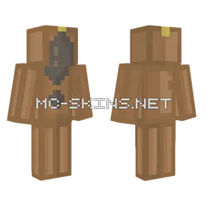 Brown Cardboard Box Minecraft skin