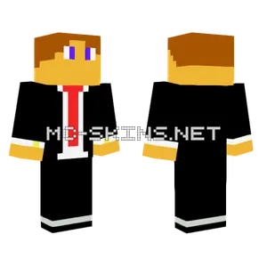 Brown Hat Cowboy Minecraft skin