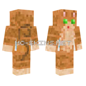 Brown Tabby Cat Skin Minecraft skin