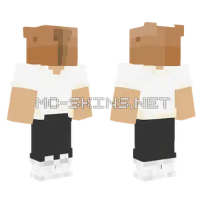 Capybara Minecraft skin