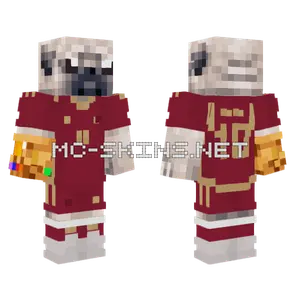 Caracas FC Minecraft skin