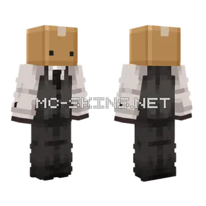 Cardboard Box Hat Minecraft skin