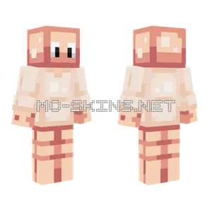 Cinnamon Hive Style Minecraft skin