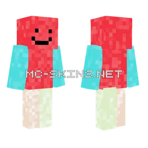 Concrete Powder Edition Boy Minecraft skin
