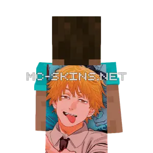 Denji cape, outside and lining