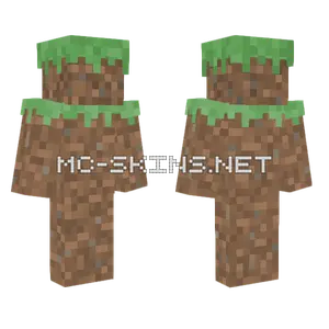 Dirt Block Outfit Minecraft skin