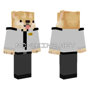 Doge Dog Skin Minecraft skin