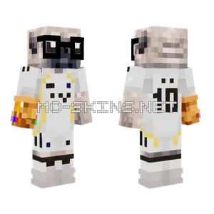 dsdsa Minecraft skin