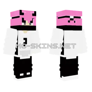 Eboy Ninja Fles Minecraft skin