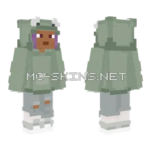 Efe Frog Minecraft skin