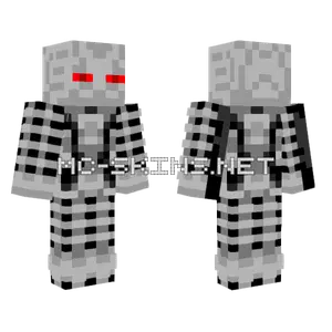 Enderbot Endoskeleton Minecraft skin