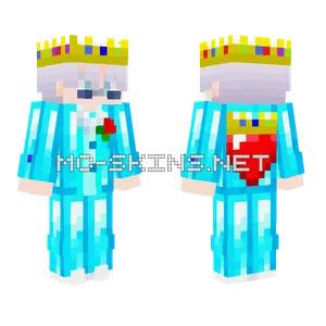 Enriched King Swight Hero Minecraft skin