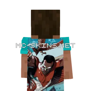 Falcon cape, outside and lining