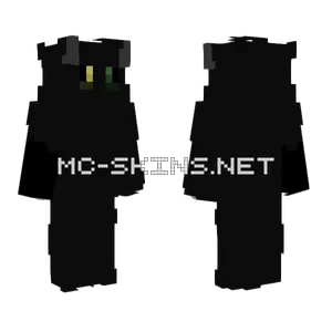 Flipping With No Arm Minecraft skin