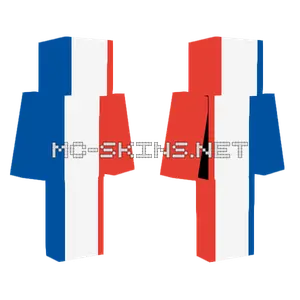 France 1976 2021 Minecraft skin