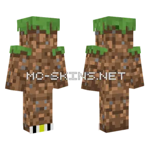 Grassy Block Skin Minecraft skin