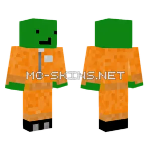Green Prisoner Outfit