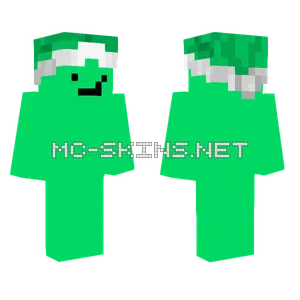 Green Santa Hat