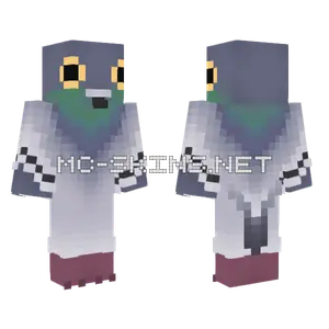 Grey Pigeon Bird