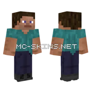 Guineapig371 S Steve Remake Version 6 Minecraft skin