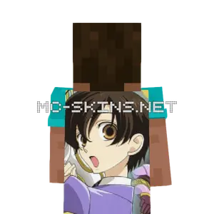 Haruhi Fujioka cape, outside and lining